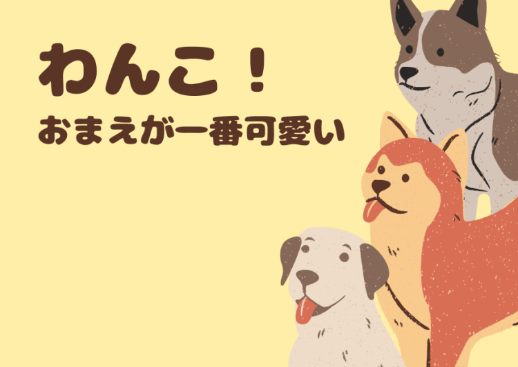 カワイイがいっぱい！ワンダーランド